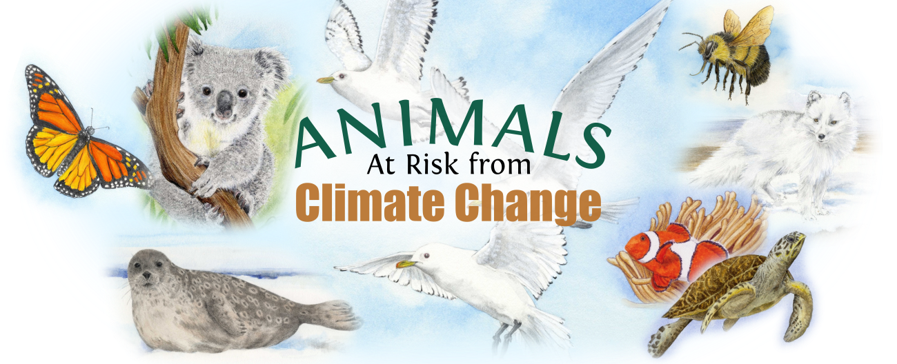 Animals At Risk from Climate Change