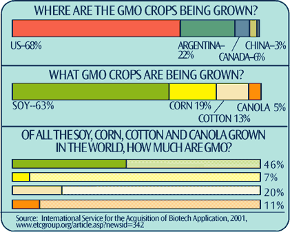GM Crop Statistics
