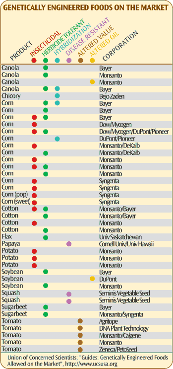 Genetically Engineered Foods on the Market