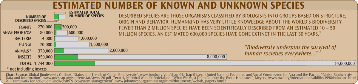 larger version of  Number of Known and Unknown Species