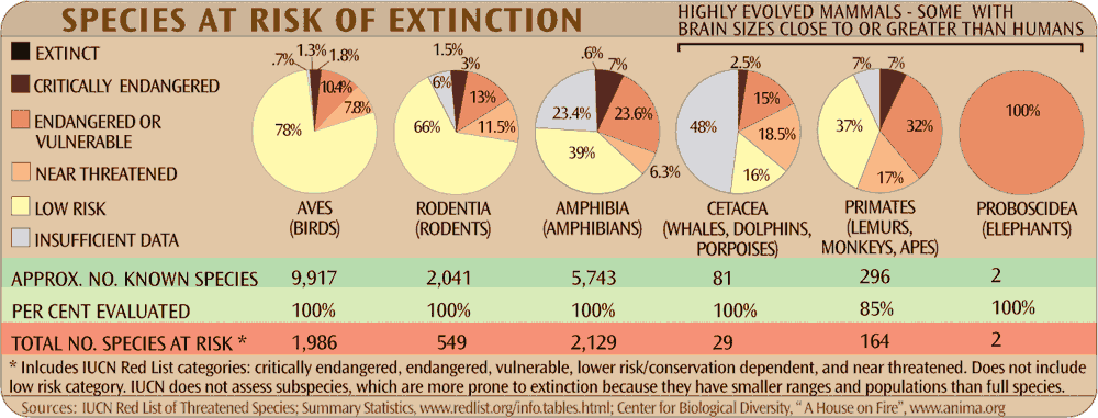 larger version of  Species at Risk of Extinction